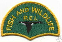 wildlife